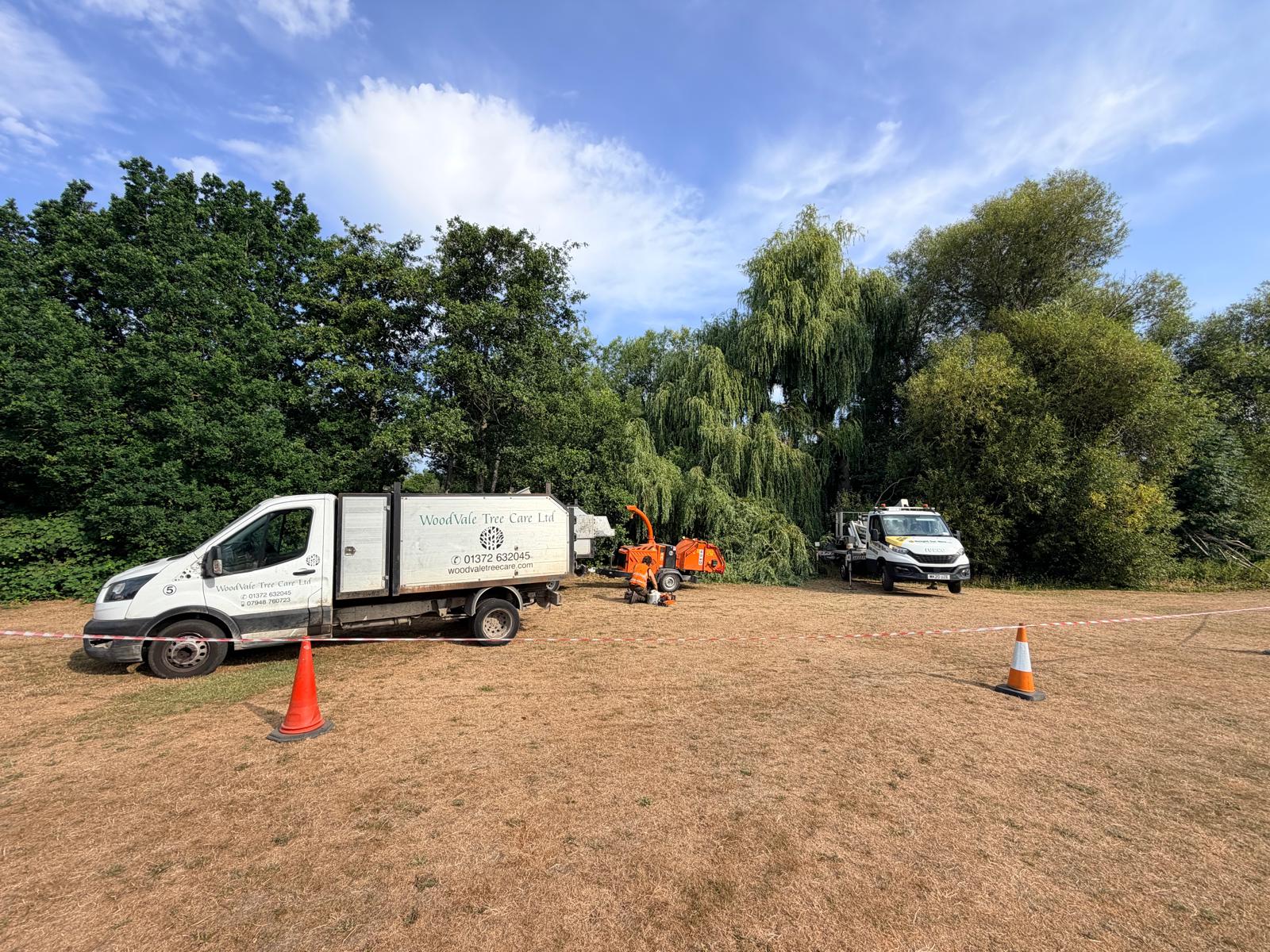 Emergency Tree Work by Woodvale Tree Care